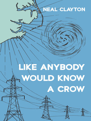 cover image of Like Anybody Would Know a Crow